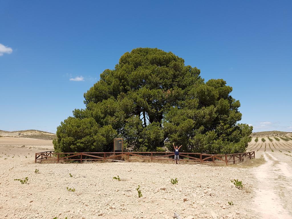Cortijo De Los Castellanos Las Ventanas Exteriér fotografie